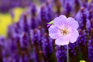 fotokurs aschaffenburg