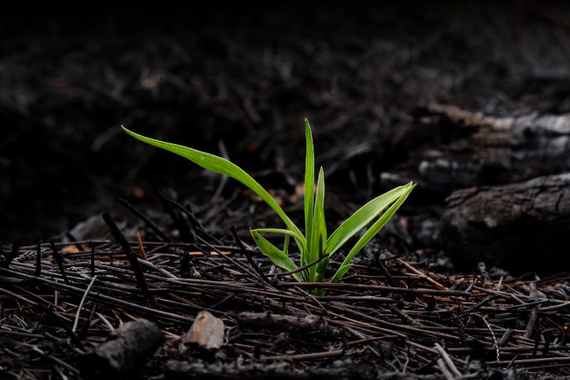 fotokurs verlorene landschaft