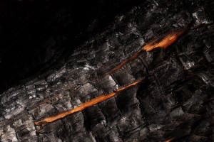 Fotokurs Waldbrannt, toter Wald, Waldsterben