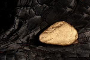 Fotokurs Waldbrannt, toter Wald, Waldsterben