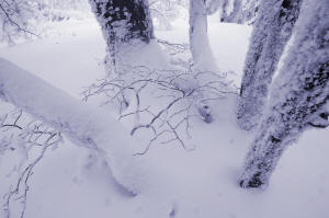 fotokurs winterlandschaft
