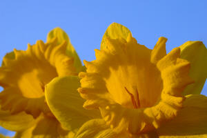 fotokurs makrofotografie